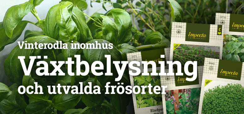 Just nu kampanj på växtbelysning och utvalda frösorter