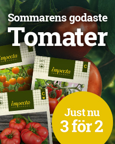 Tomater - 3 för 2