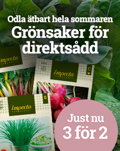 Grönsaker för direktsådd