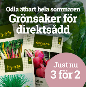 Grönsaker för direktsådd - 3 för 2