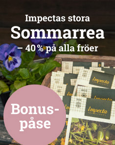 Sommarrea 2023