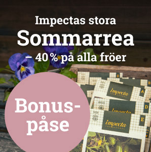 Sommarrea 2023