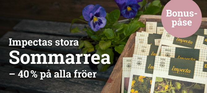 Sommarrea 2023