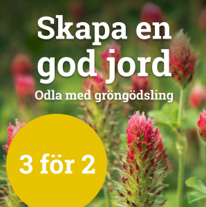 Gröngödsling - 3 för 2