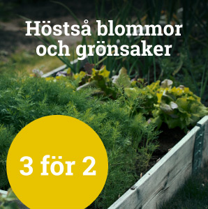 Höstsådd - 3 för 2