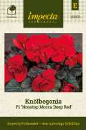 Knölbegonia F1 'Nonstop Mocca Deep Red', Djupt mörkröda, heldubbla blommor på kompakta, jämna och välformade plantor med mörkt, bronsgrön bladverk.
