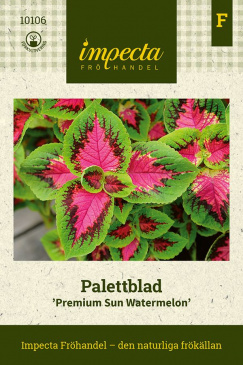 Palettblad 'Premium Sun Watermelon' Fröpåse