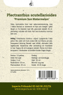 Palettblad 'Premium Sun Watermelon' - Fin och populär bladväxt för krukodling.