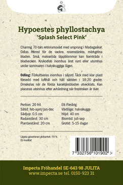 Rosenstänk 'Splash Select Pink'