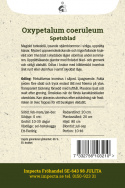Spetsblad har magiskt turkosblå stjärnblommor i sirliga, upprätta klasar. 