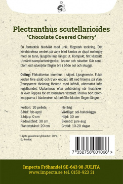 Palettblad Chocolate Covered Cherry Impecta Fröpåse baksida