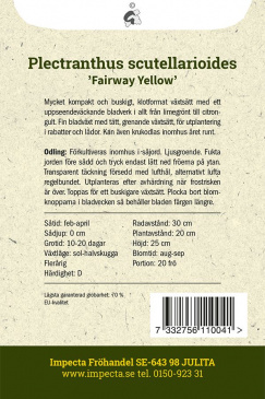 Palettblad ''''Fareway Yellow'''' odlingsanvisning