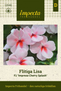 Flitiga Lisa F1 Impreza Cherry Splash blommar med vita, lätt rosa blommor.