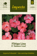 Flitiga Lisa F1 'Balance Coral', Varmt korallrosa blommor med vitt och mörkare rosa öga. Traditionell och lättodlad sommarblomma.