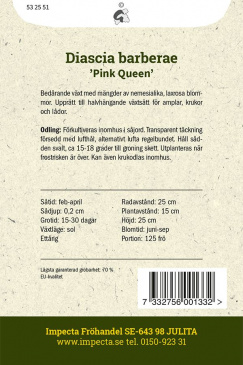 Tvillingsporre 'Pink Queen' Frö
