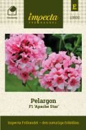 Pelargon F1 'Apache Star' Rikblommande med ljusrosa blommor på kompakta plantor.