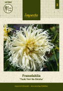 Fransdahlia ''Tsuki Yori No Shisha'' 1 st
