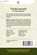 Atlasblomma F1 'Dwarf Satin' är extra låg och utmärkt för krukor och lådor.