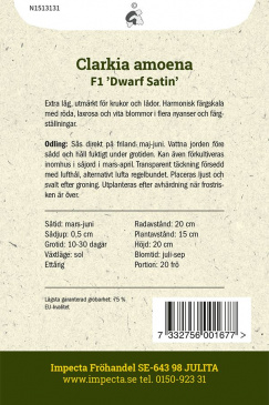 Atlasblomma F1 'Dwarf Satin' Frö