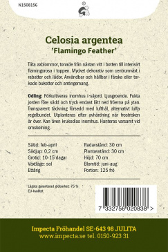 Axamarant 'Flamingo Feather'