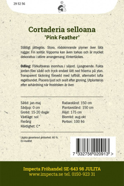 Rött Pampasgräs 'Pink Feather'