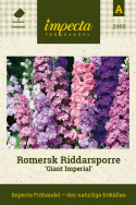 Romersk Riddarsporre 'Giant Imperial' är utmärkt för torkning och snittodling