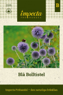 Blå Bolltistel Dekorativ, lättodlad perenn som är mycket fin i rabatt och bukett