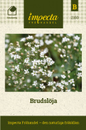 Brudslöja, Stora skyar av graciösa blommor. För rabatter, snitt och arrangemang.