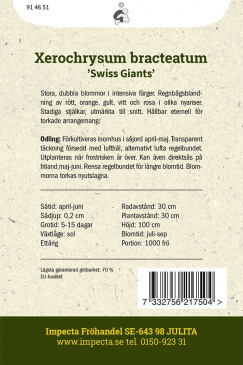 Jätte-Eternell 'Swiss Giants'