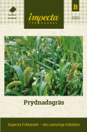 Prydnadsgräs, gräsblandning med olika höjder och vippor eller ax i flera nyanser