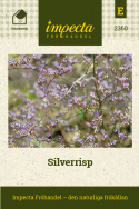 Silverrisp yviga blomställningar för bukett och arrangemang.