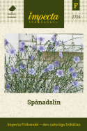 Spånadslin, lysande himmelsblå blommor. Fin i torkade buketter.