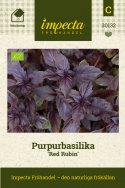 Purpurbasilika 'Red Rubin' med sina mörklila blad. Närbild