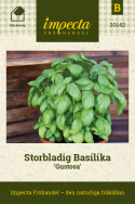 Storbladig Basilika 'Gustosa', Sallatbasilika, stora, aromatiska blad.