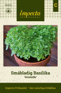 Småbladig Basilika ''Aristotle'' Småbladig klargrön örtkrydda, buskiga plantor