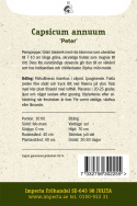 Chilipeppar 'Peter', gröna, skrynkliga frukter som mognar till rött.