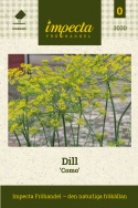 Dill 'Como', Traditionell örtkrydda. Bästa sorten för krondill.