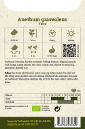 Bladdill 'Tetra', Traditionell örtkrydda. Aromatiskt, finflikigt bladverk.