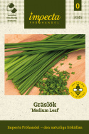 Gräslök 'Medium Leaf', Traditionell örtkrydda. Finbladig och snabbväxande.