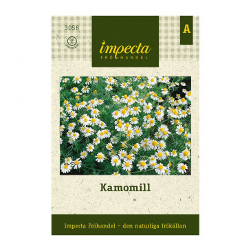Kamomill