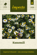 Kamomill, Vita korgblommor med gul mittdisk. Findelat, aromatiskt bladverk.