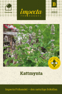 Kattmynta, Purpurröda och vita blommor. Mintdoftande, grågrönt bladverk.