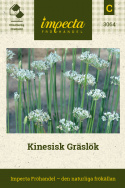 Kinesisk Gräslök Spännande örtkrydda. Liknar gräslök med mild vitlökssmak.