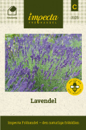Lavendel Silvergrått bladverk och blåvioletta blommor. Används för sin väldoft