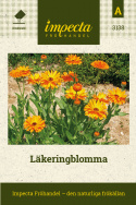  Läkeringblomma, Läkeväxt med blommor i ljust orange