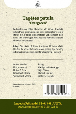 Gröngödsling Tagetes 'Evergreen' fröpåse baksida Impecta