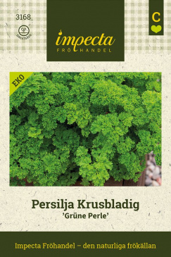 Persilja Krusbladig ''Grüne Perle'' fröpåse Impecta