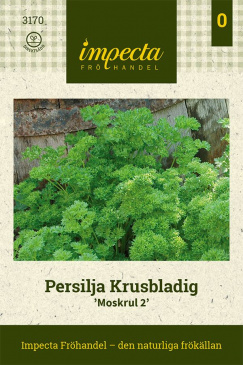 Persilja Krusbladig 'Moss Curled 2' fröpåse Impecta