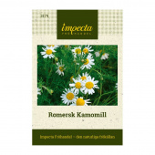 Romersk Kamomill