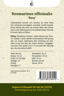 Rosmarin 'Rosy' Impecta odlingsbeskrivning